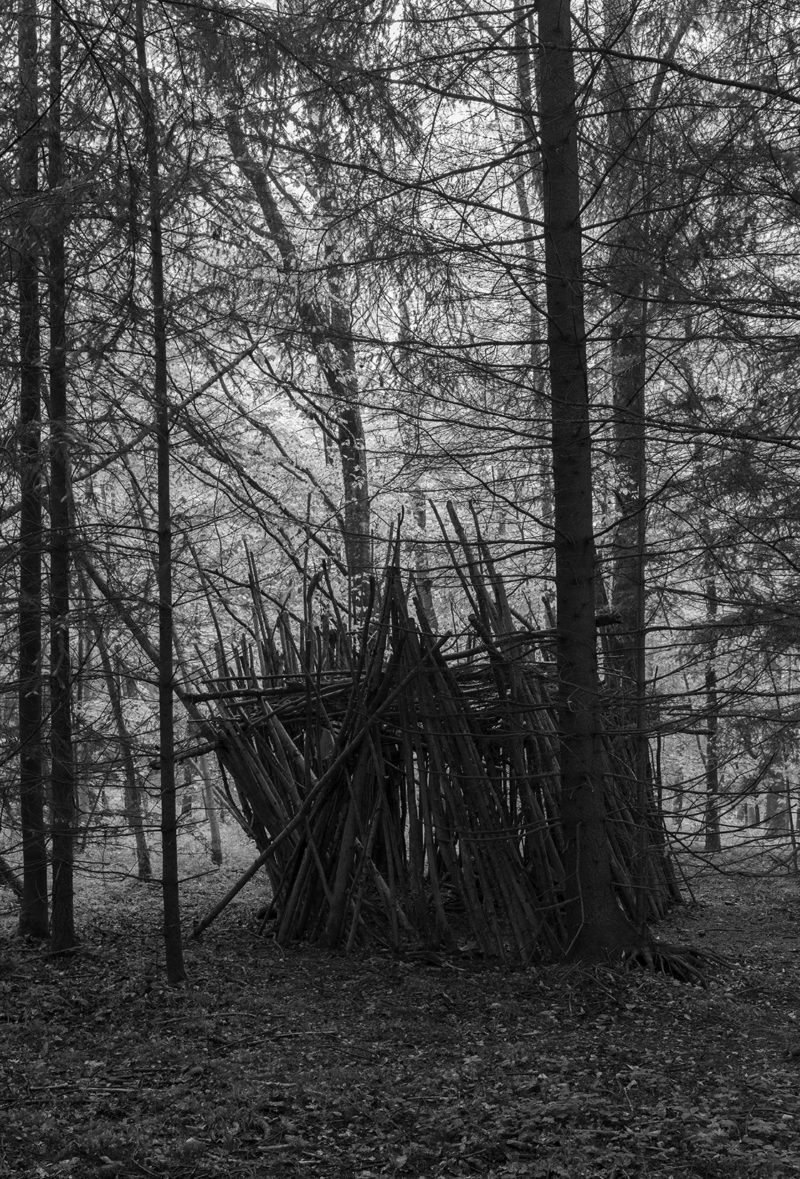 NicoleHametner_Archetype04_web