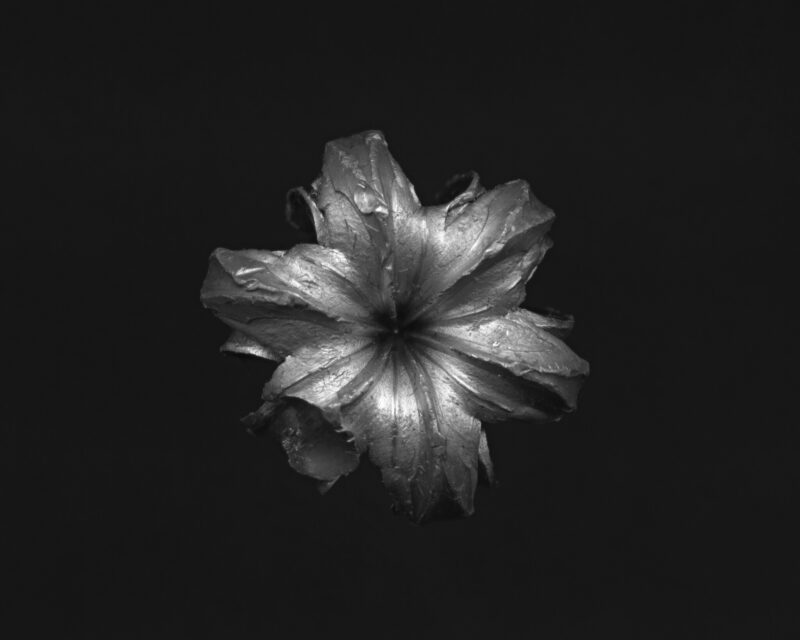 bullet_grey_50H_crop_web